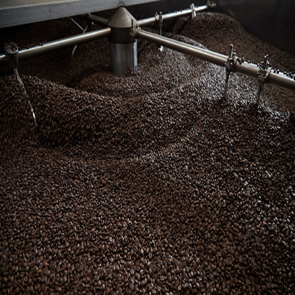 CAFFE EL MUNDO TOP CLASS GOLD   Espressobohnen